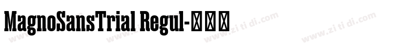 MagnoSansTrial Regul字体转换